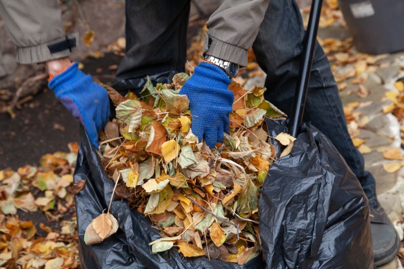 Autumn Leaf Piles Ready for Collection