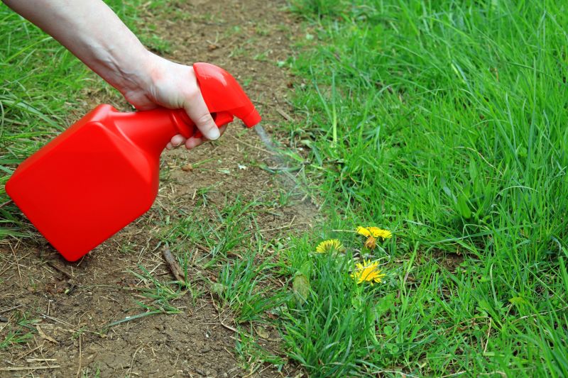 Lawn Herbicide Treatment in Honolulu, HI