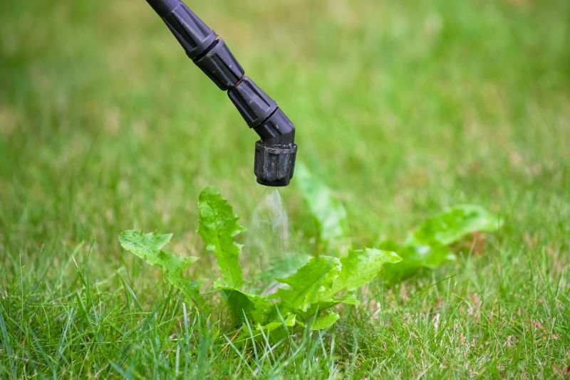 Lawn Weed Control in Aiken, SC