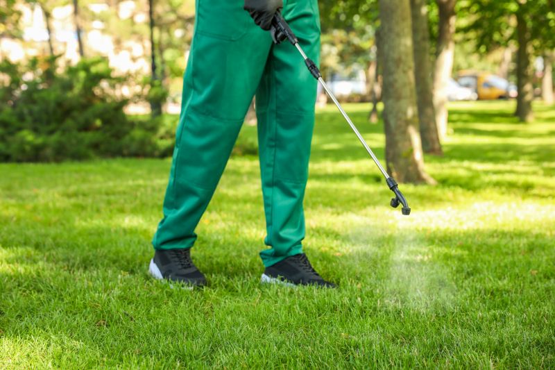 Lawn Weed Treatment Service