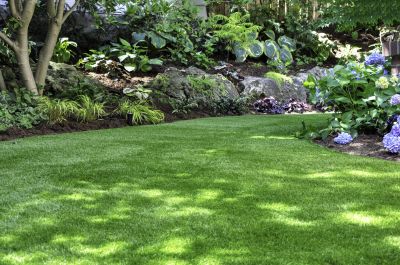Get Your Yard Professionally Top Dressed To Improve Soil Quality
