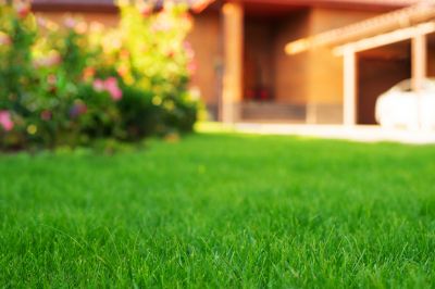 Promote Healthy Growth Lawn Growth By Getting Professional Top Dressing